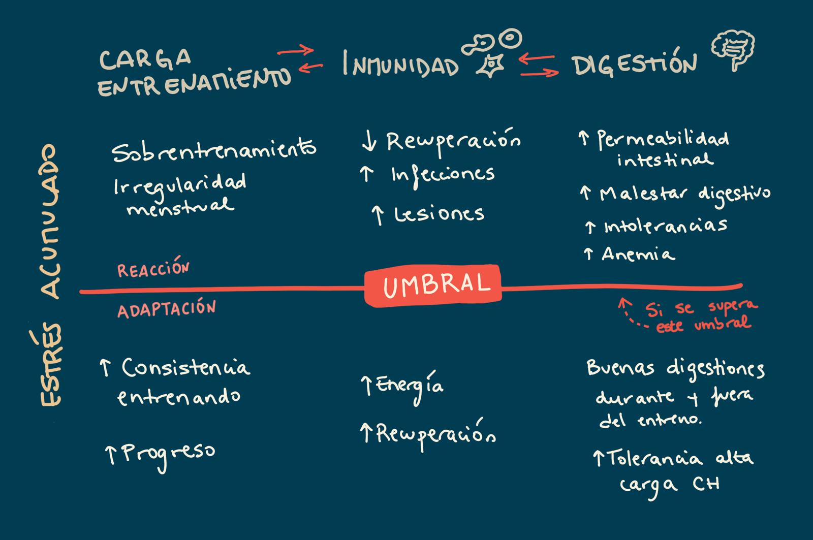 Esquema del sistema intestino–carga–inmunidad